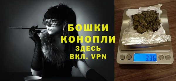 сатива Магас