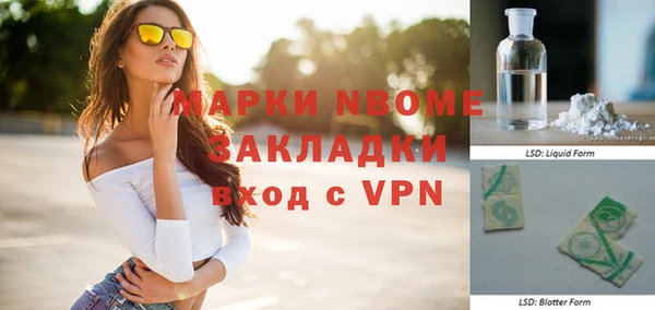 сатива Магас
