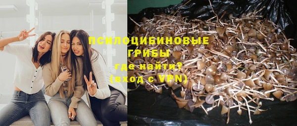 молекула духа Магадан