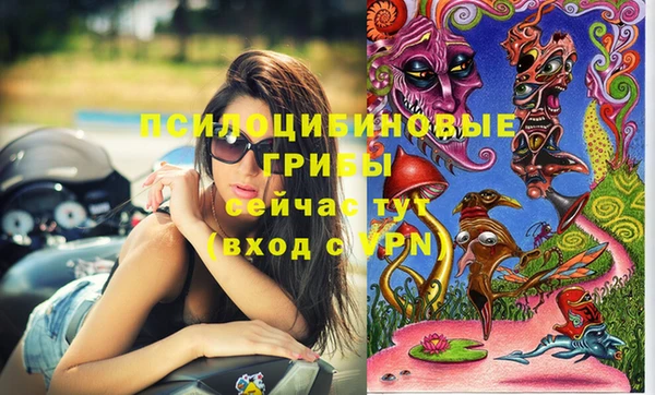 сатива Магас