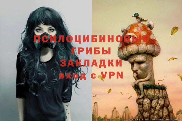 молекула духа Магадан