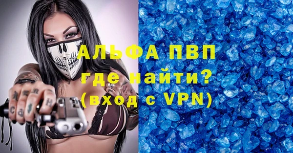 сатива Магас
